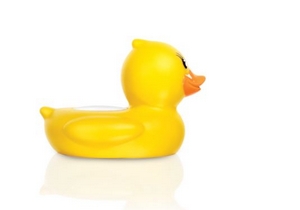 Duck-baby-bath-temperature-measurement