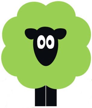 Sheep-Wool-Insulation-Ireland-UK