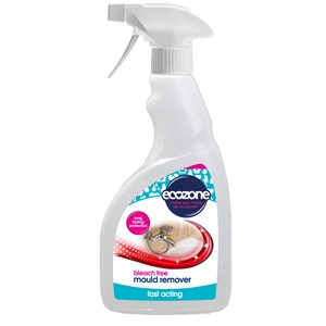 mould-remover-jpg